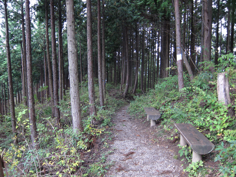 20191031hike (325)